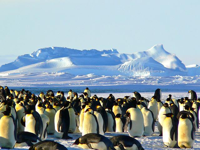 Подо льдом Антарктиды впервые обнаружено огромное количество воды