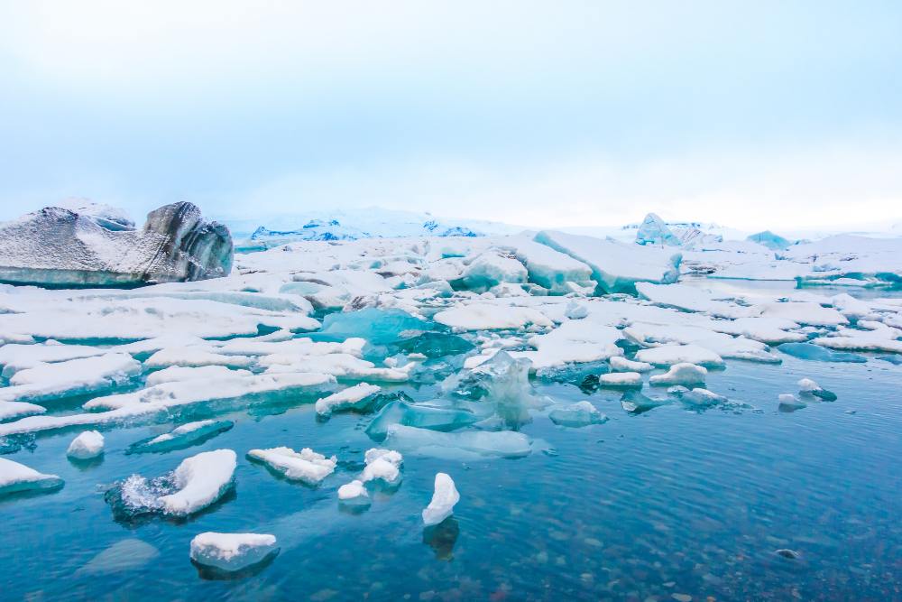 Северный Ледовитый океан быстро закисляется