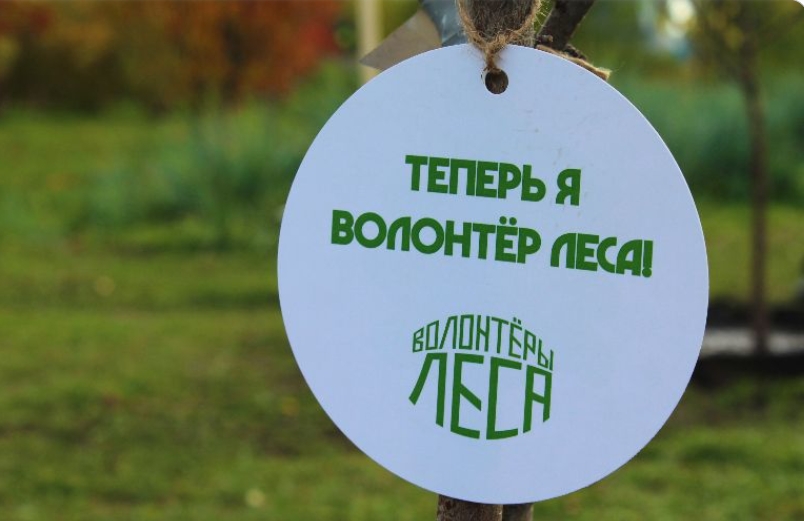Участники форума «Леса России» поддержали акцию «Сохраним лес»