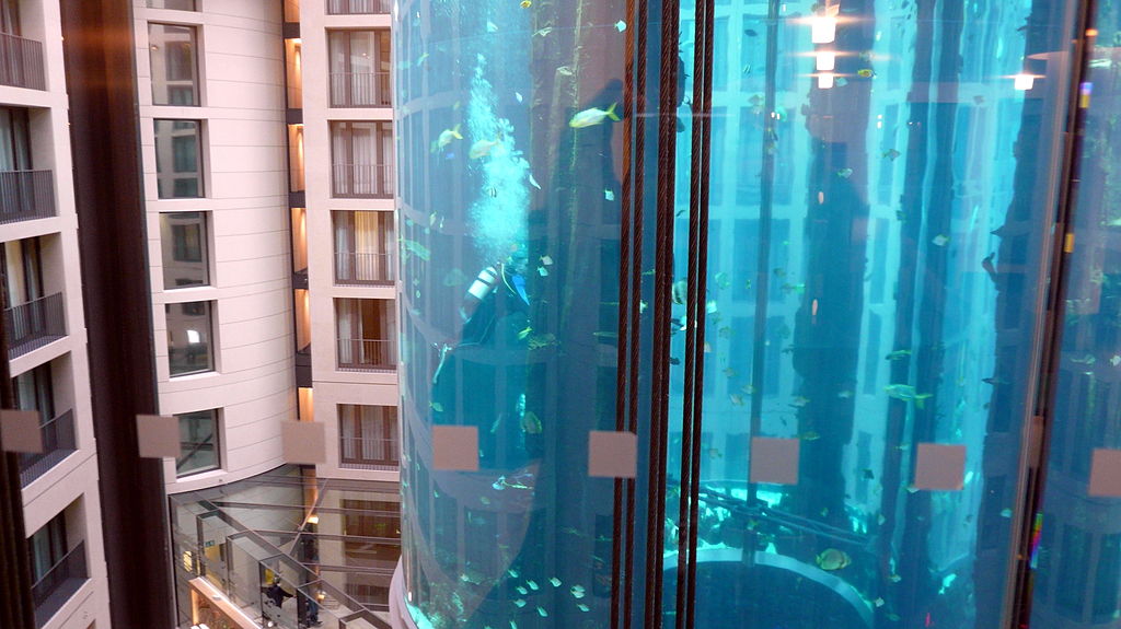 Огромный аквариум взорвался, выплеснув на улицу 1500 рыб