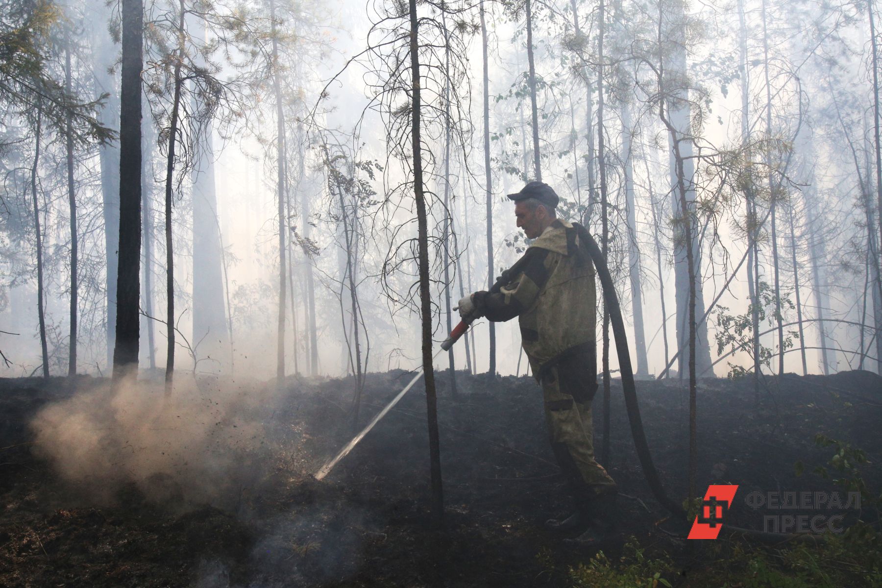 В Якутии площадь лесных пожаров составила свыше 165 тыс. га