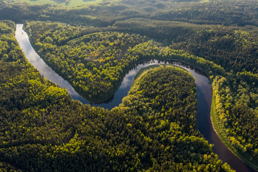 Предсказано превращение лесов Амазонии в саванны